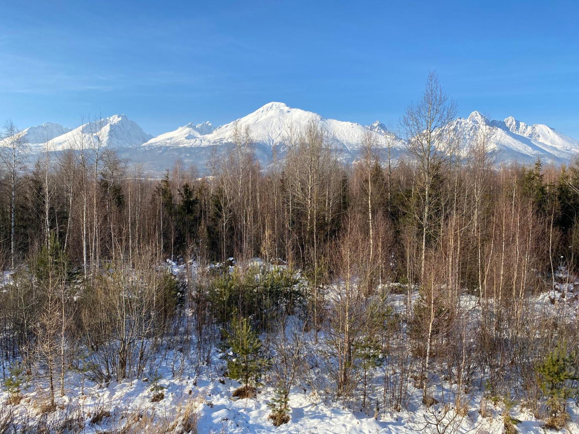 Apartman S Nadhernym Vyhladom Na Tatry Velky Slavkov Luaran gambar